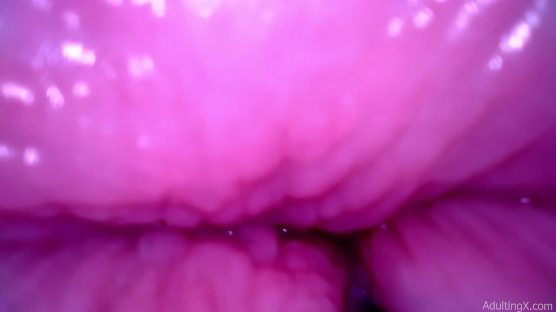 Inside a soft pink pussy 1