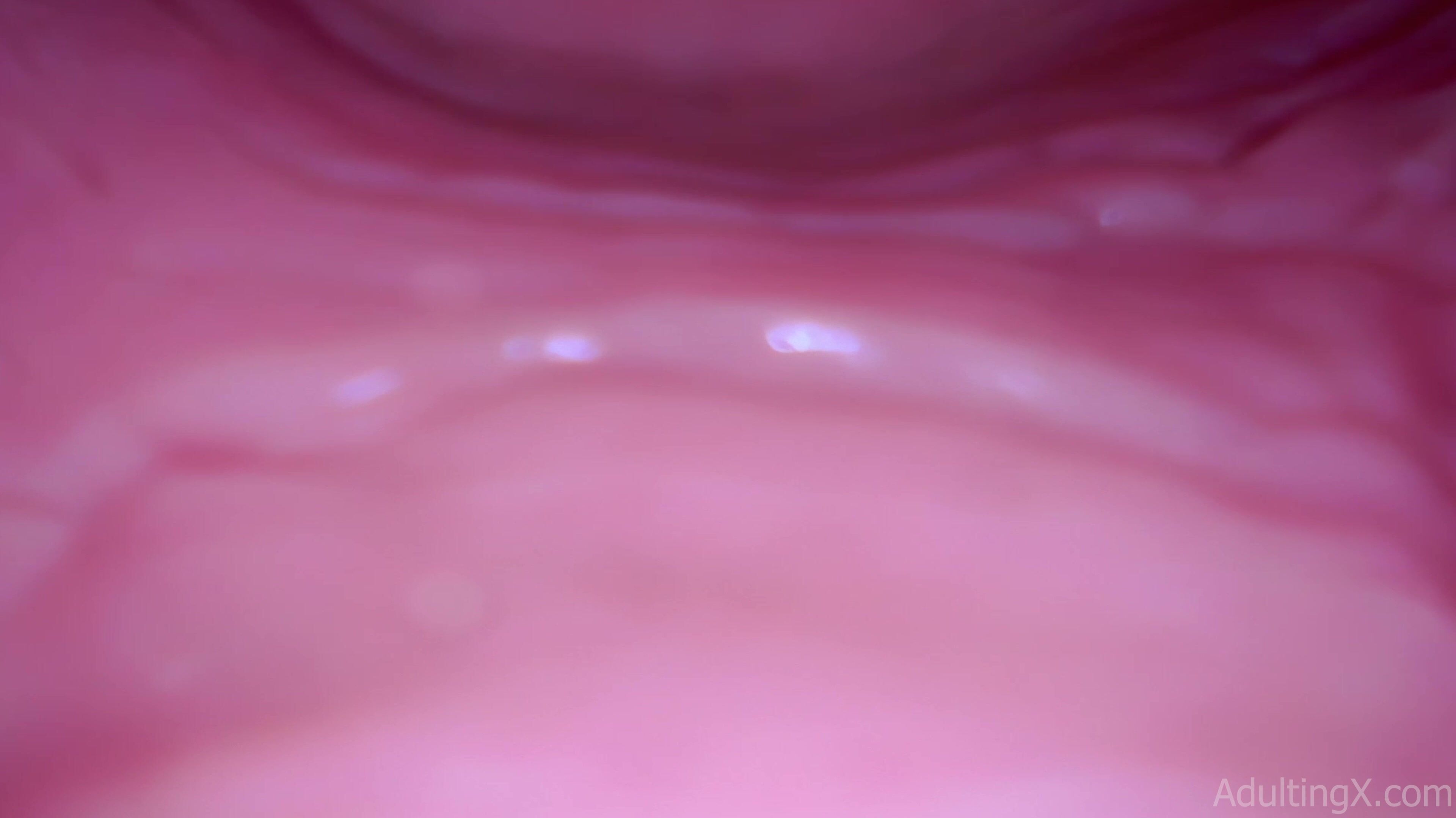 Inside a soft pink pussy 2