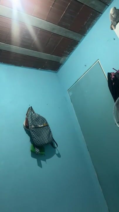 C4_cachorr234 13-07-2025
