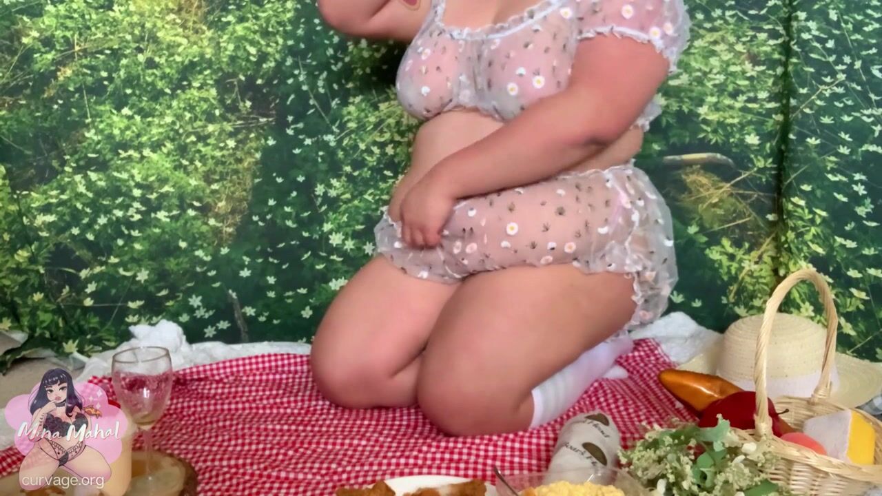Mina Has a Picnic
