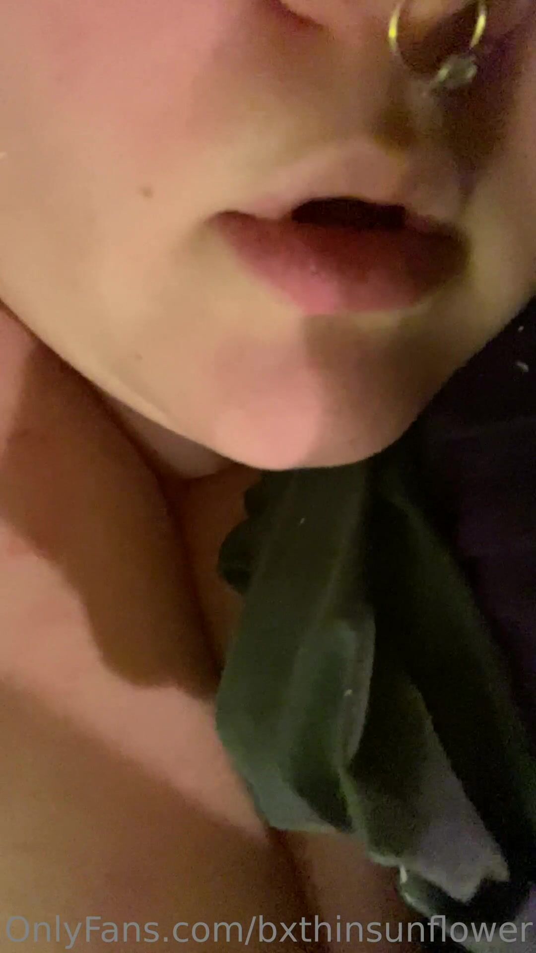 bxthinsunflower