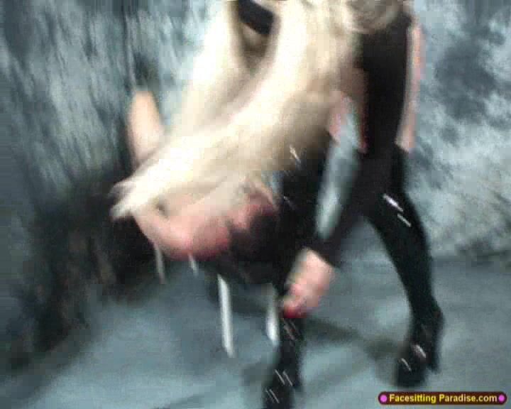 Mistress Darkwing