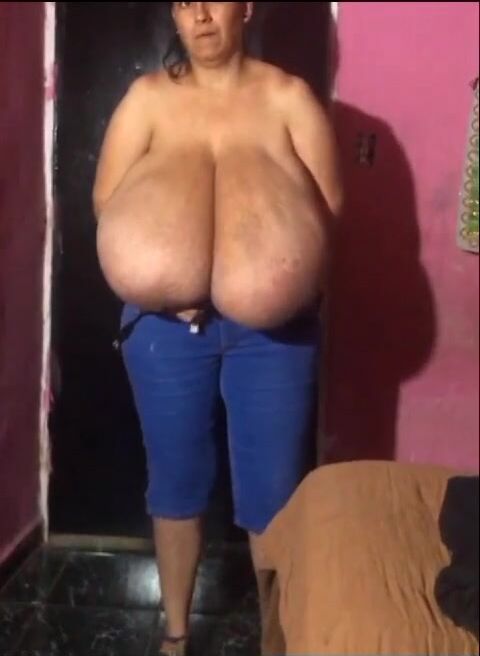 huge tits hh6s