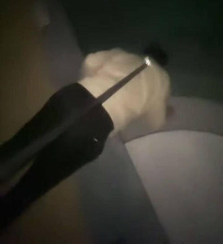 Queen Taylor toys with her pathetic paypig.