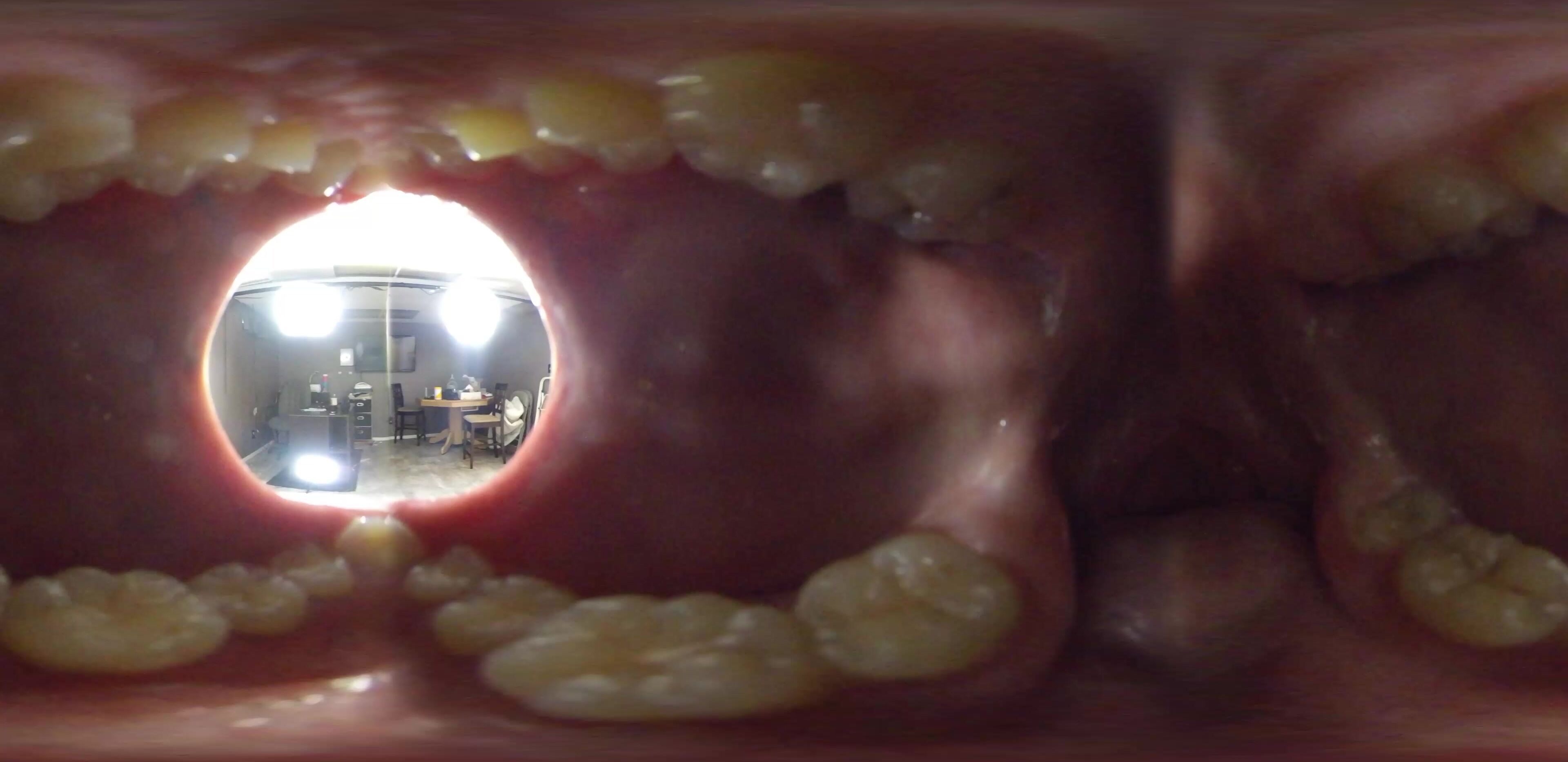 Jasper Reed Vore 4kVR