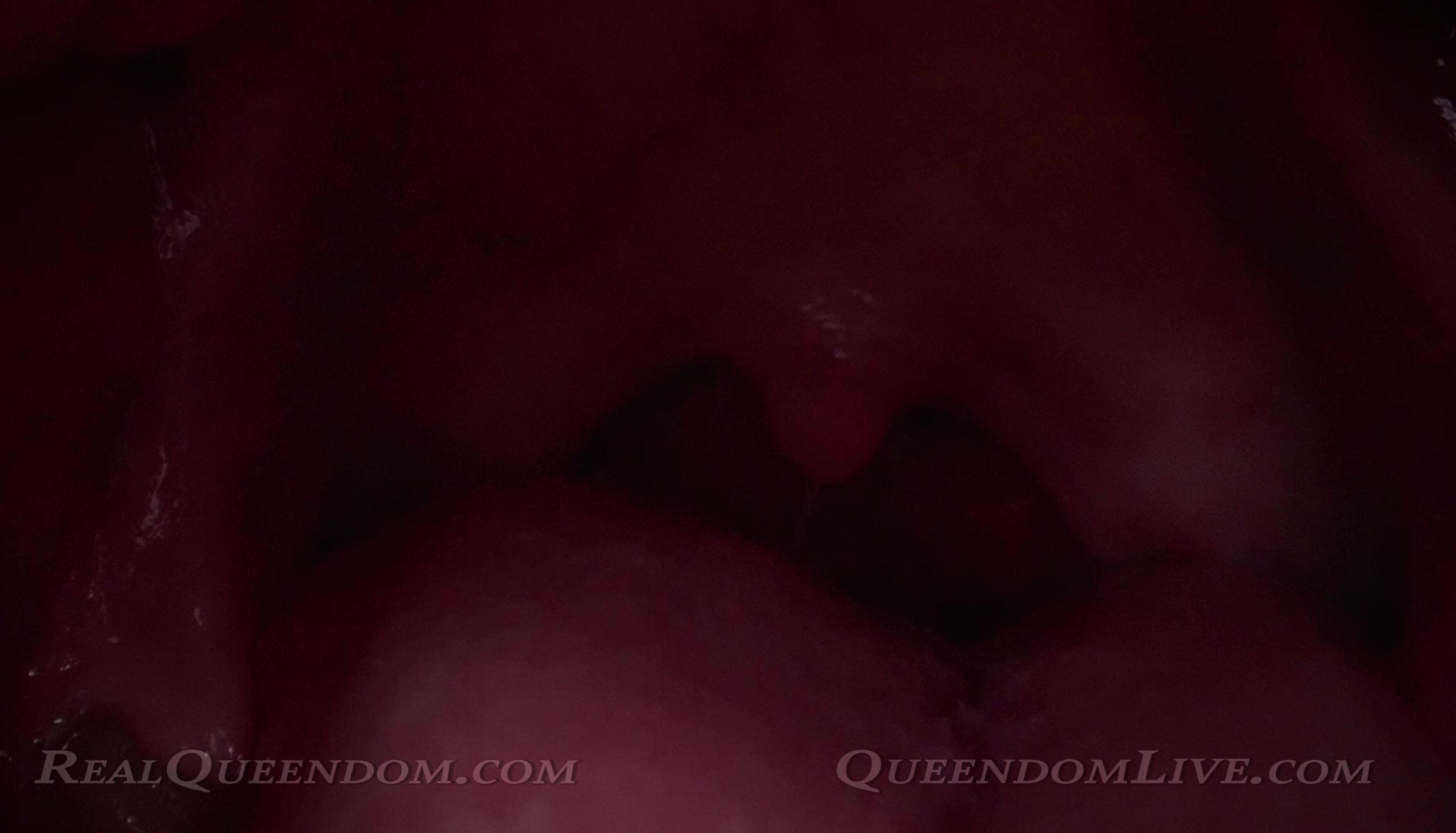 Venus O' Rickmon - Be One With My Ass