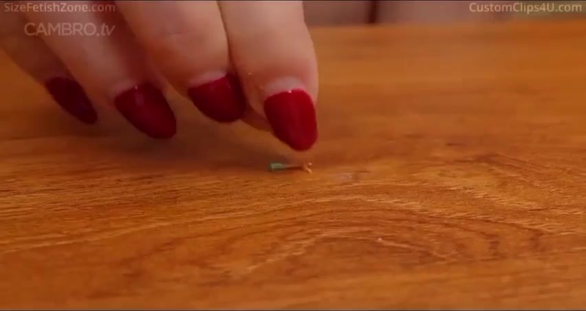Skye Blue - Tiny Tutor
