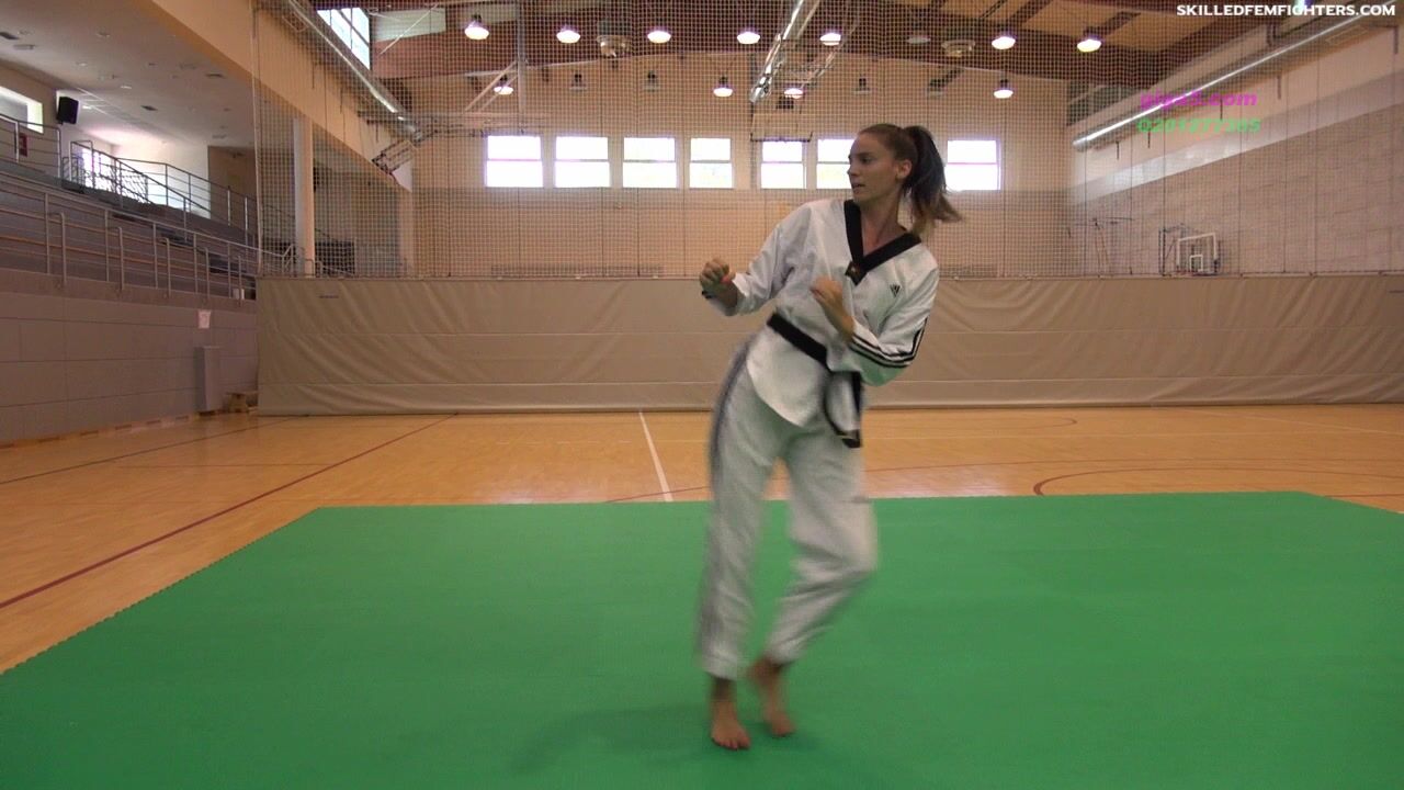 mixed fight 10