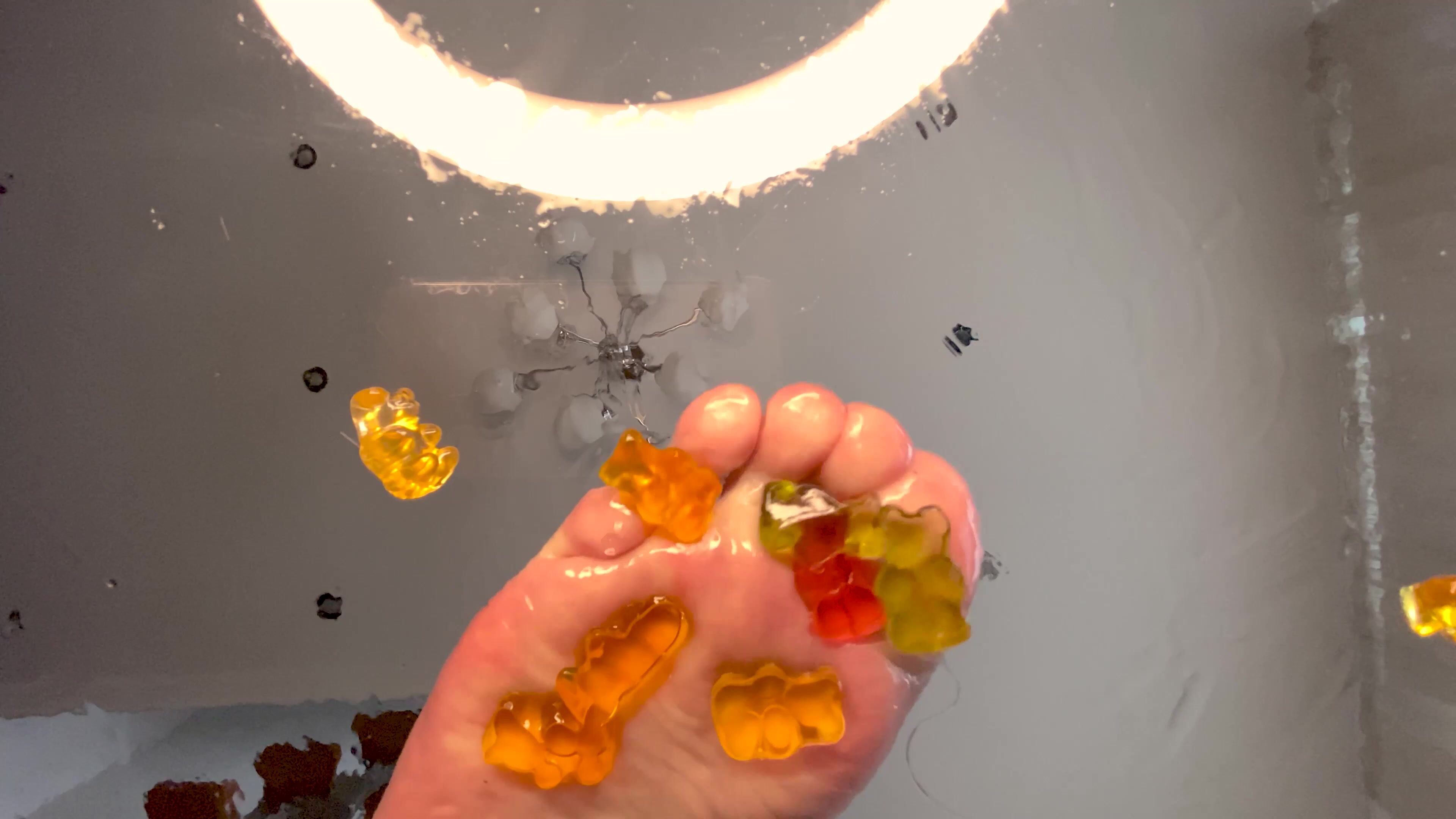 Shye white gummy bear buttcrush