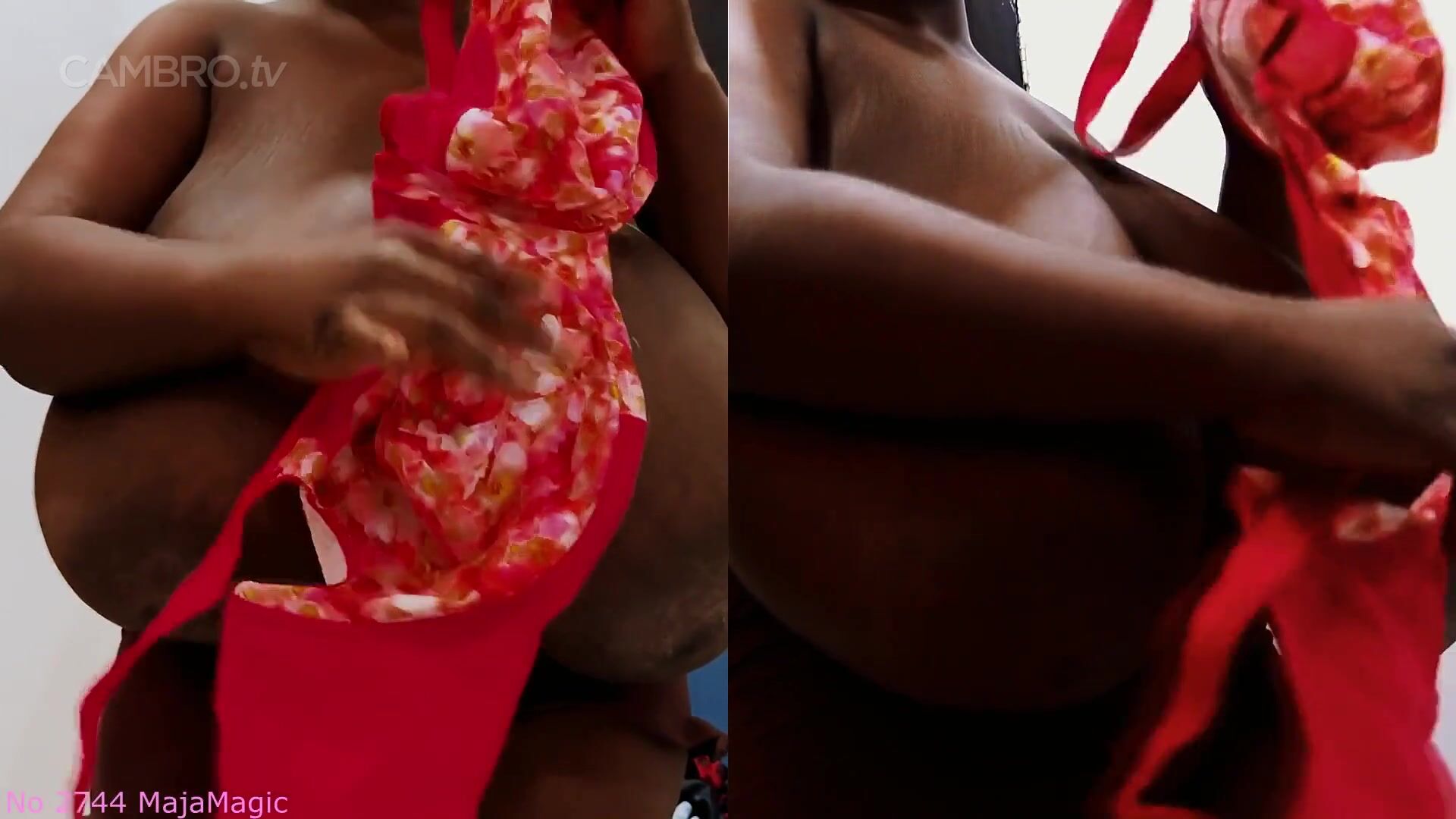 Big Boob Coco