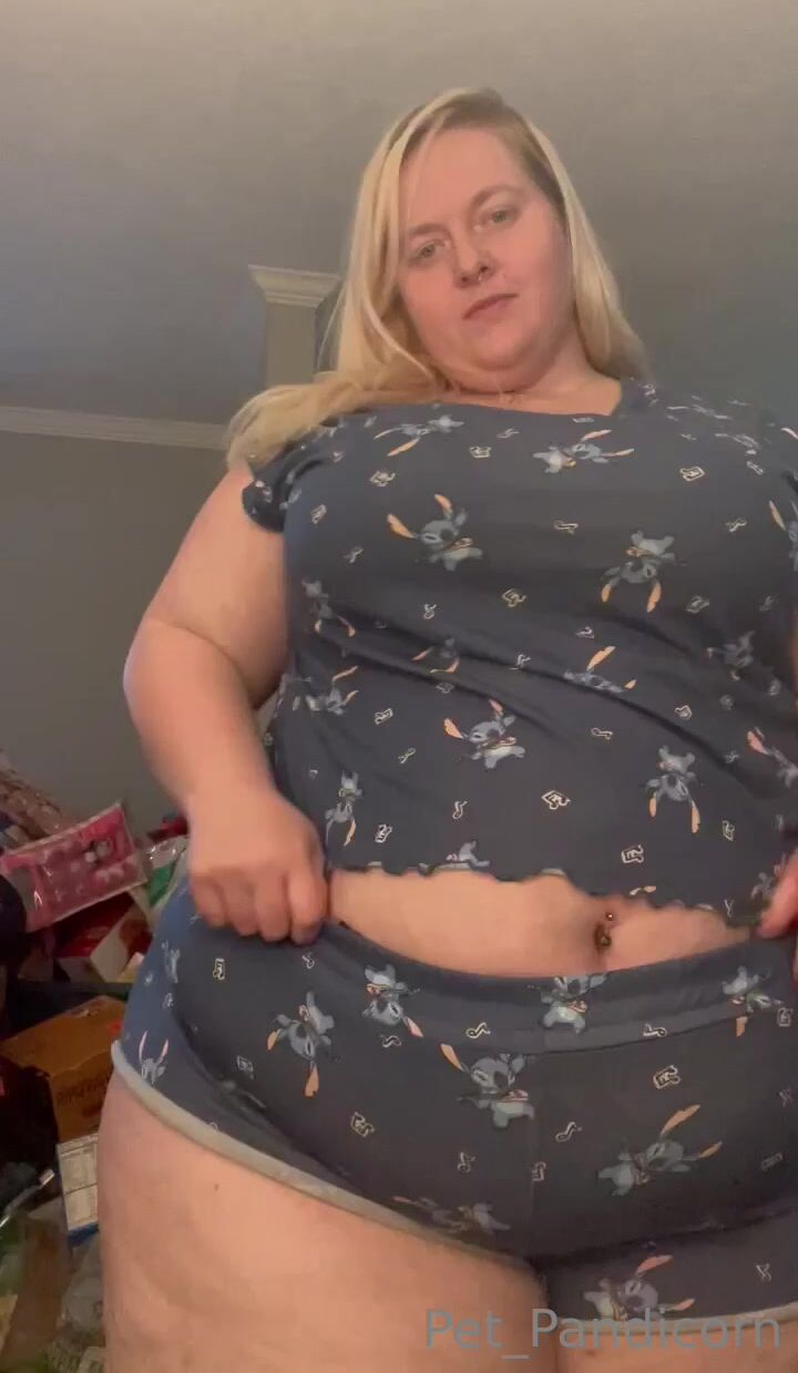pet_pandicorn