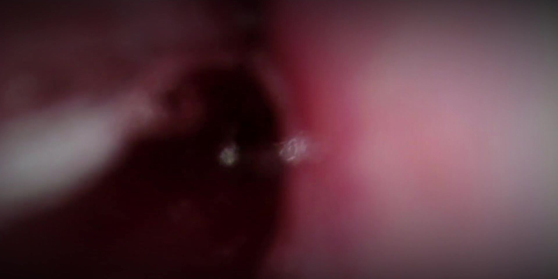 Casual Gamer Fuel Paramouth