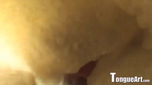 The meaty part