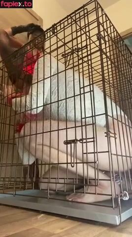 Domina Evgenia slave in a cage