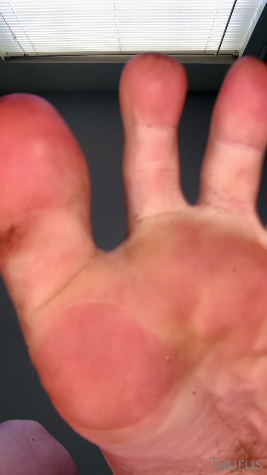 Tastytaurustoes dirty feet giantess