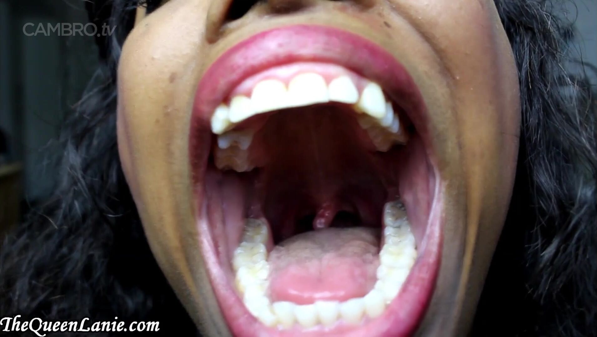 Lanie Love Mouth