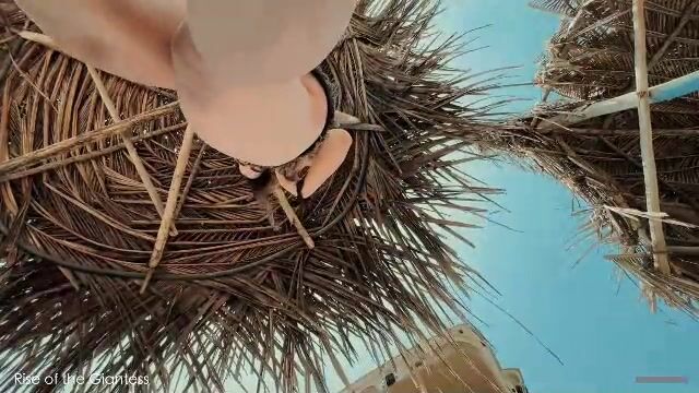 Gabriella - Beach Day