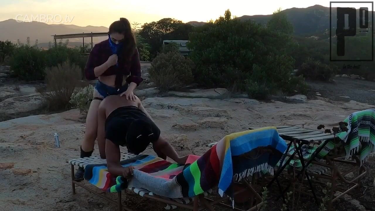 dahlia xene outdoors