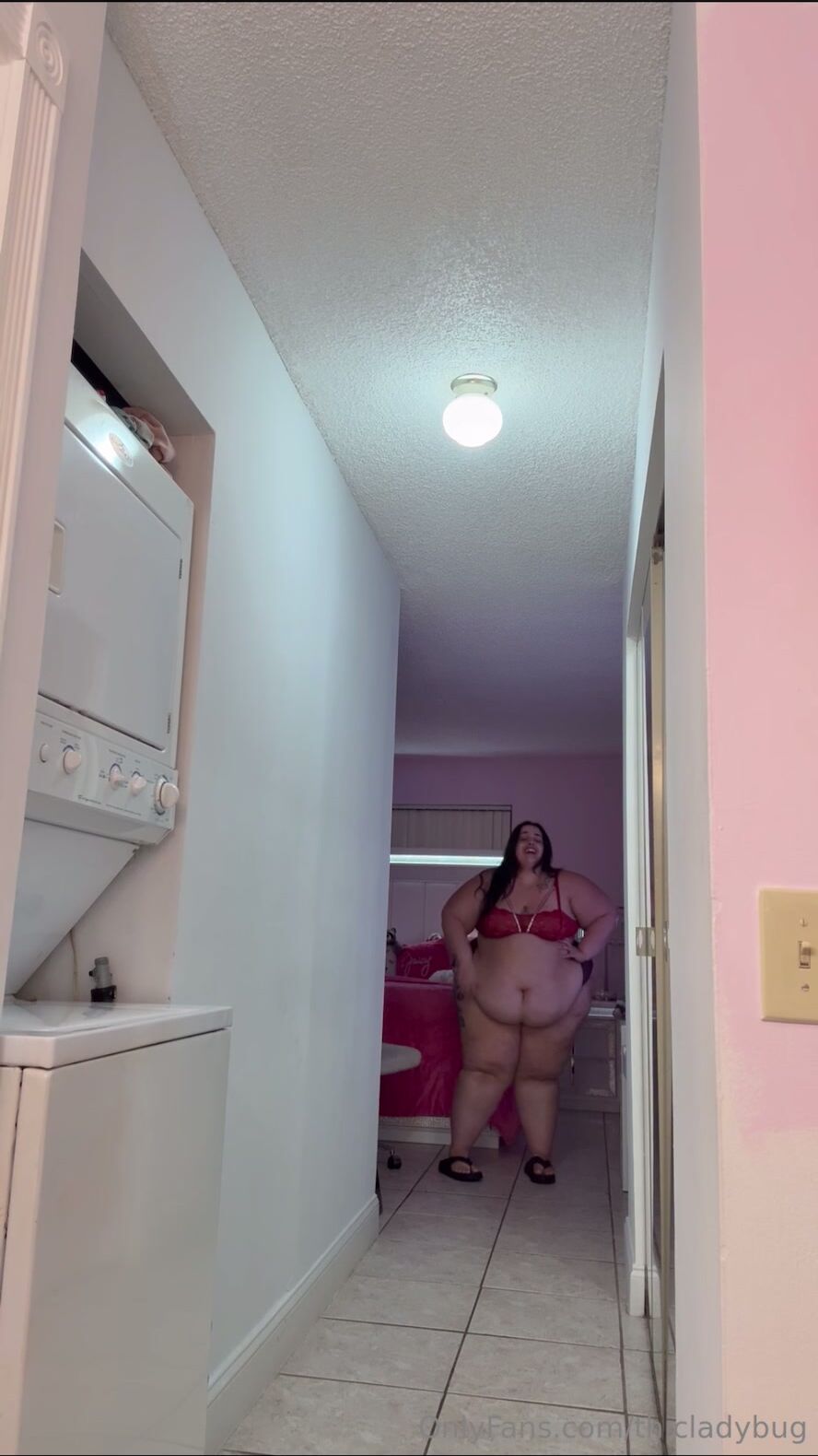 Thicladybug 4