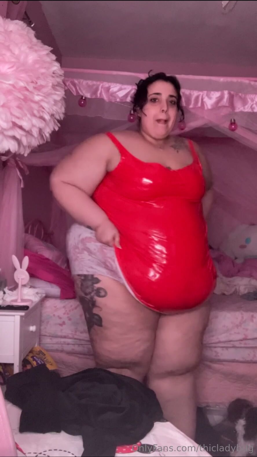 Thicladybug 6