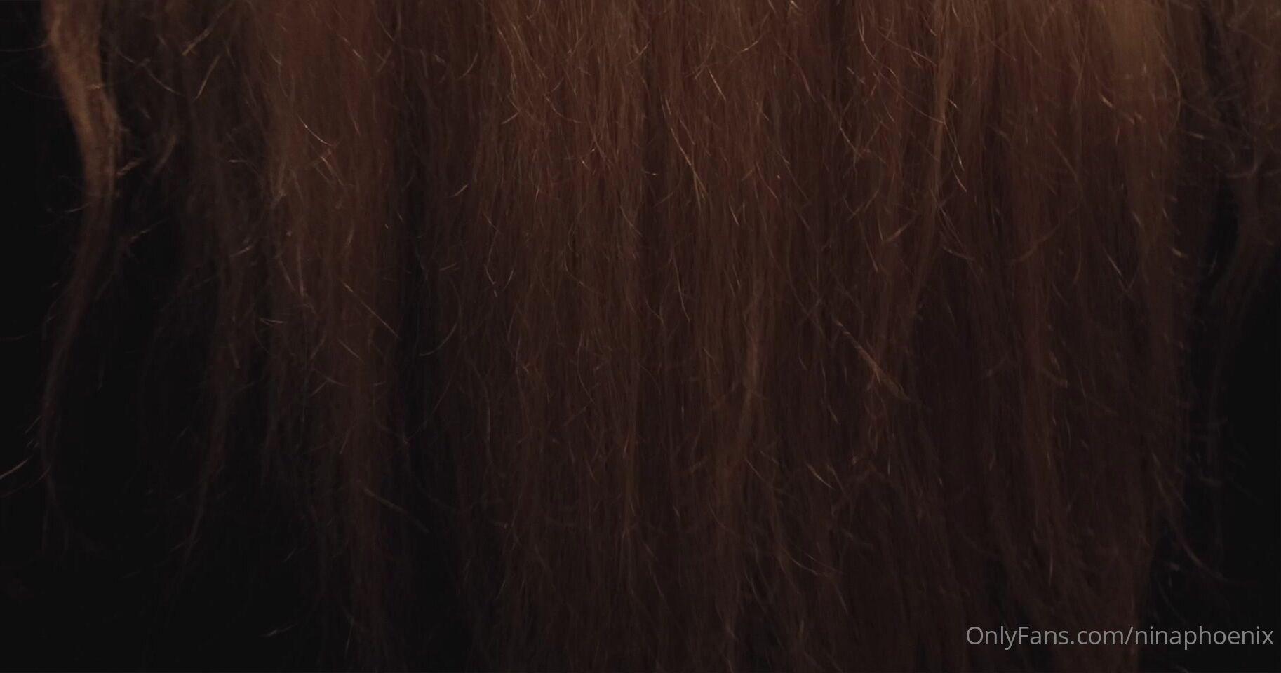 Nina Phoenix: Good morning, bad intentions  !