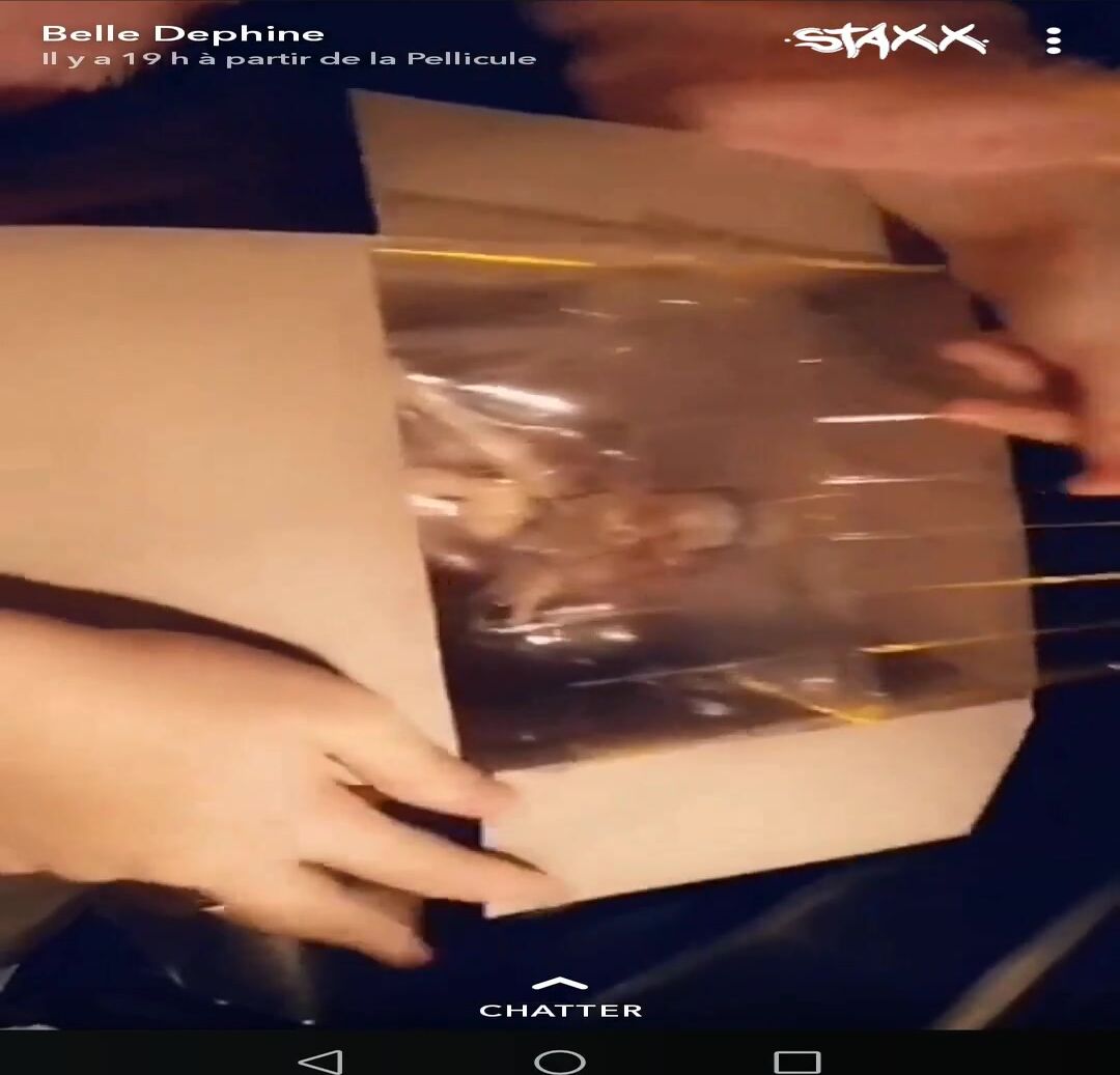 Night with belle delphine