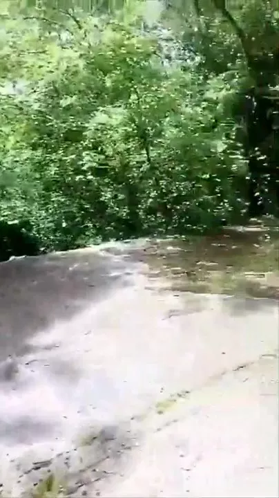 Luna Raise quick forest sex snapchat free