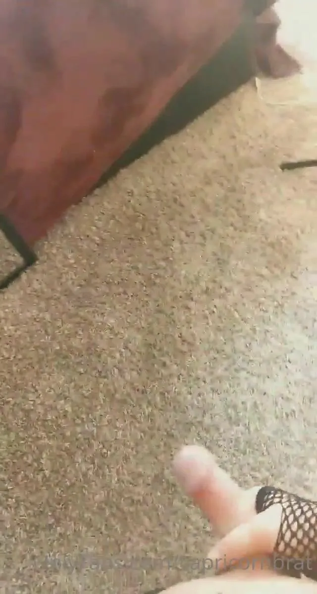 capricornbrat 18 09 2020 121265080 could use another hand or mouth onlyfans xxx porn videos