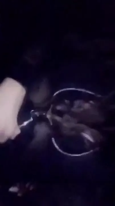 Rainey James drunk night snaps snapchat free