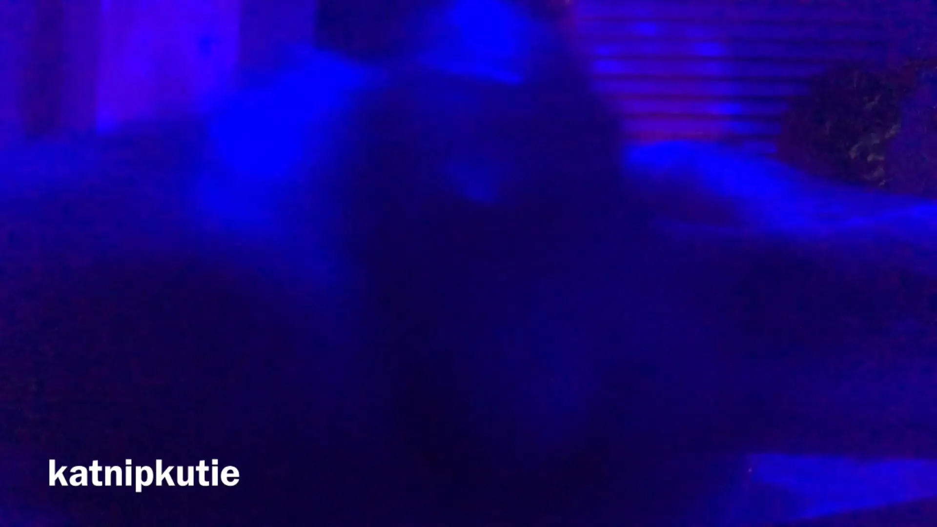 kactuskutie 15 min full length video touching myself in the bathtu
