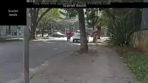Scarlet 2