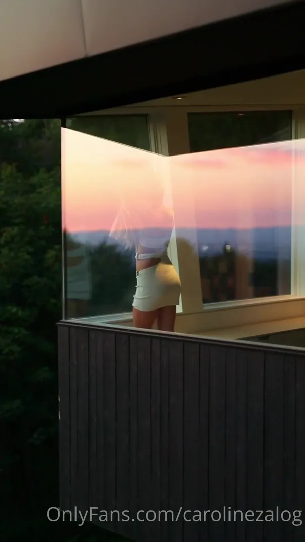 Caroline Zalog Window PPV