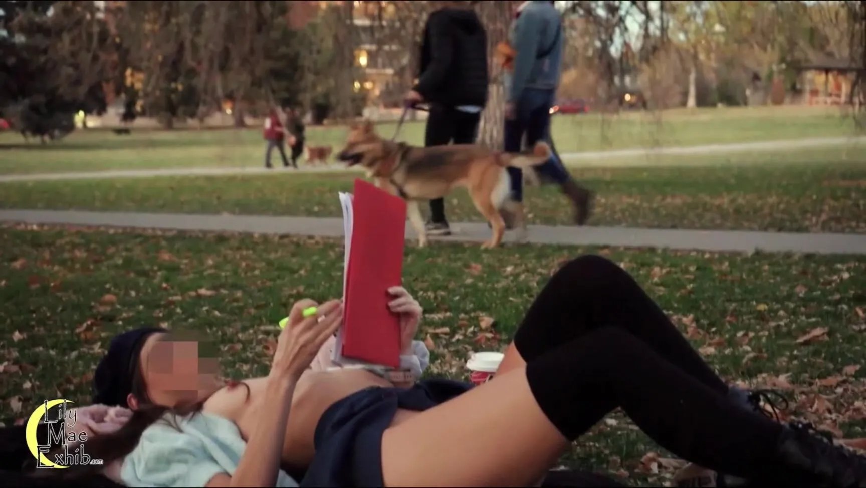 nude in park relaxing