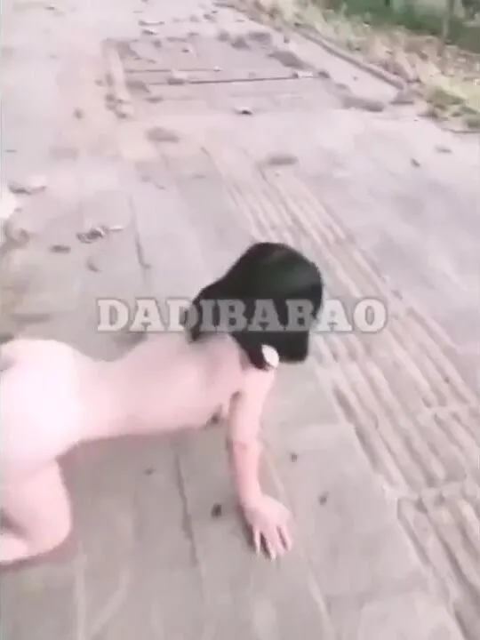 Dadibabao Public Chinese Girl on Leash Walked Naked Like Pet, plus much more