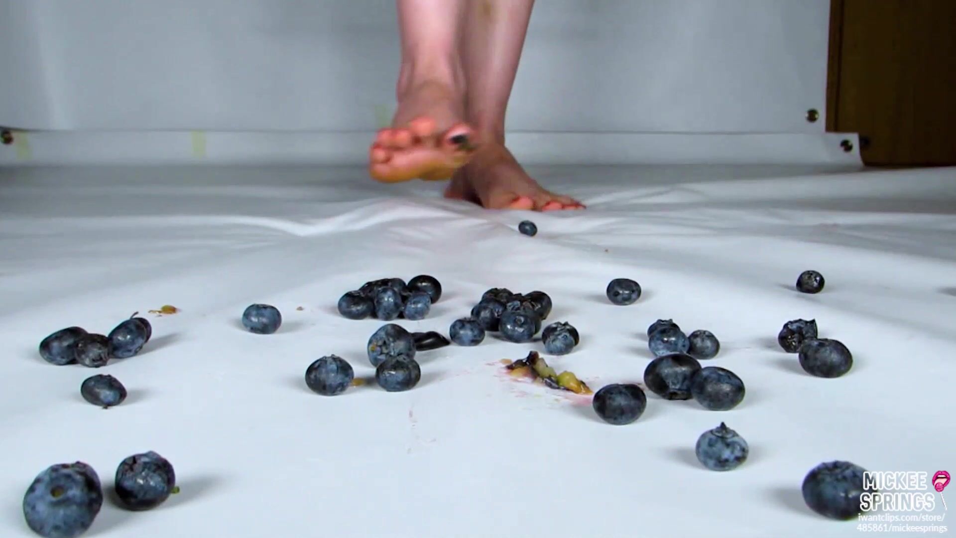 mickeesprings mickee springs blueberries feet crush