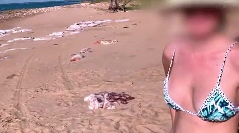 Wifey Does - beach exhibitionist