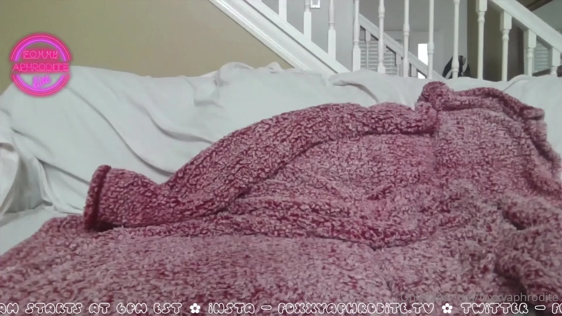 foxxyaphrodite just live stream tingz xxx onlyfans porn videos