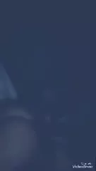Chantel Jeffries nude lesbian twerk Snapchat leak XXX Premium Porn