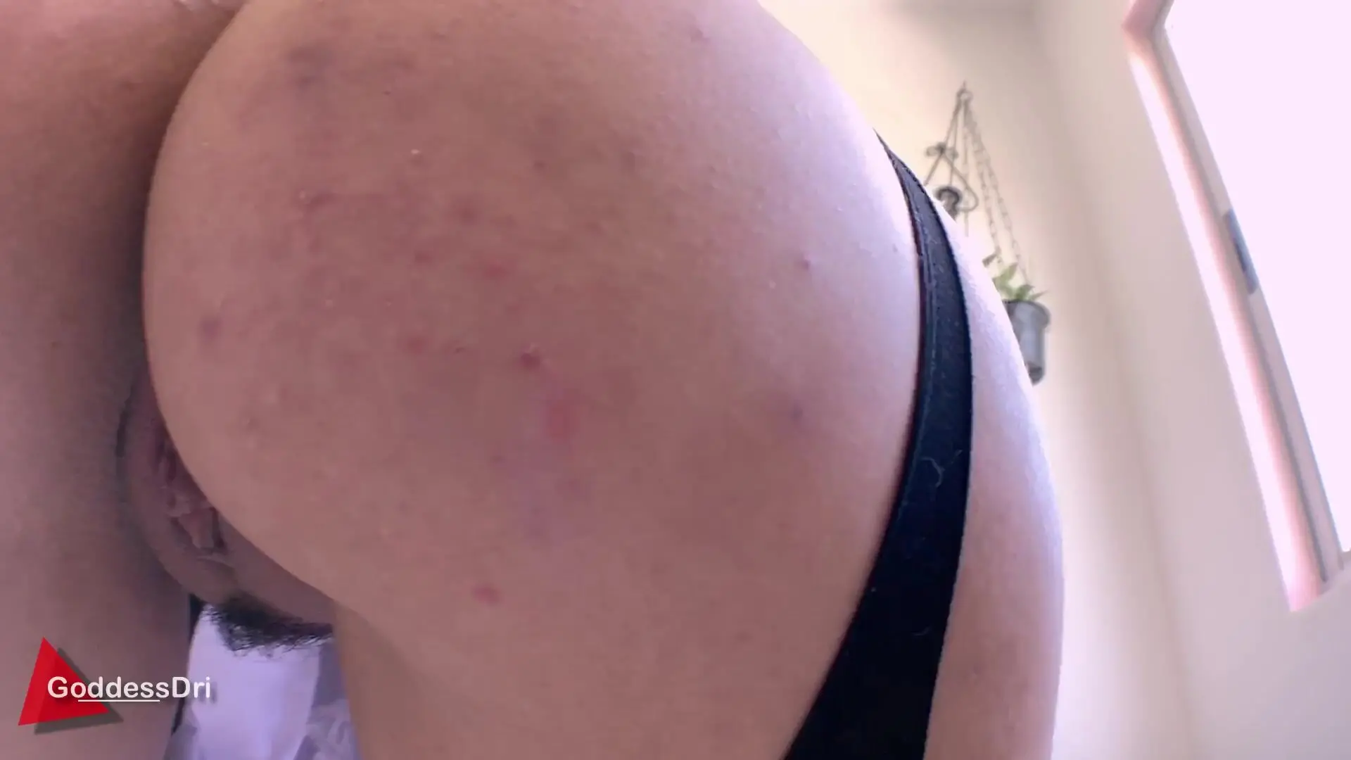 Goddess Dri - Ass On Your Face