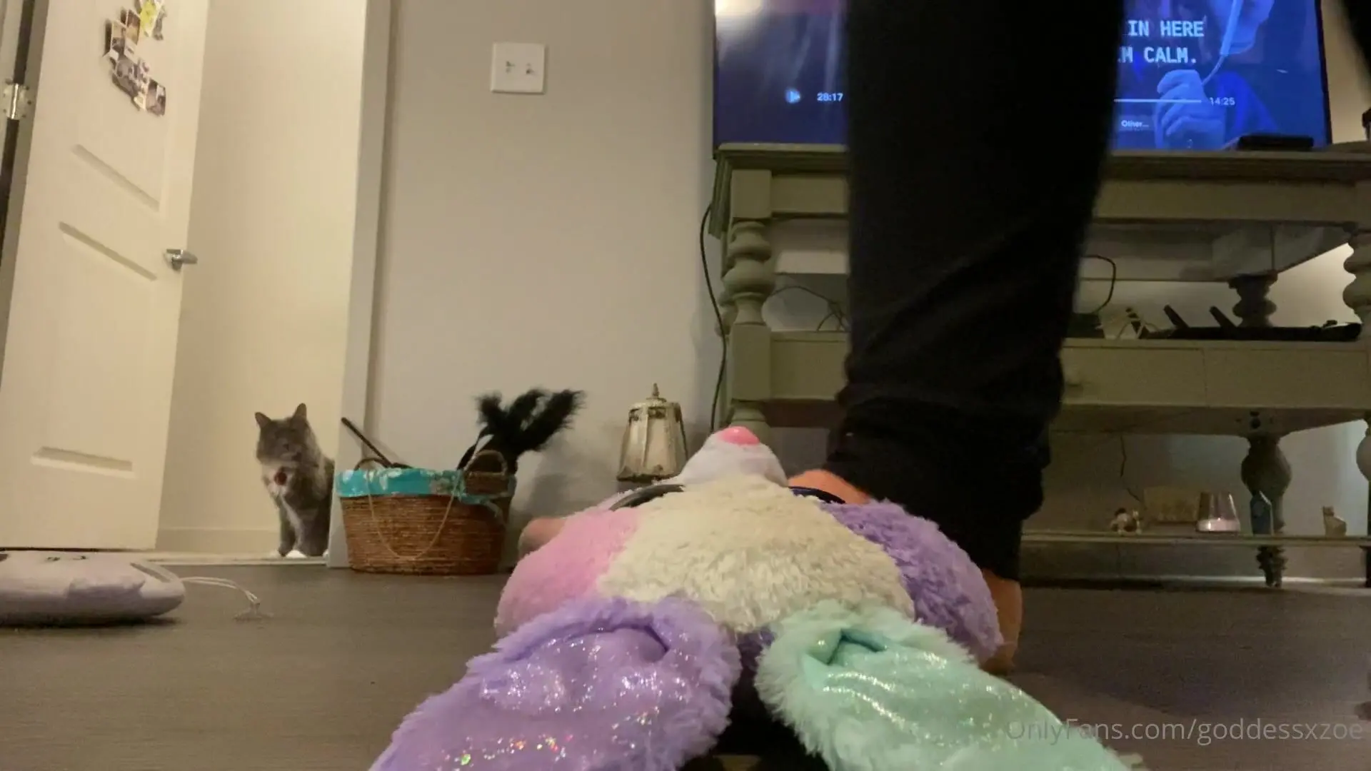 Findomfootfairy multi plushy trample onlyfans xxx porn videos