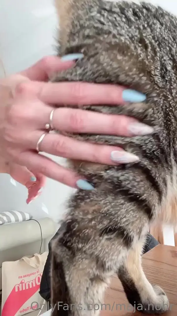 maja nohr i love so much my kitty do you onlyfans porn xxx