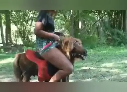 Bbw pony riders compliten