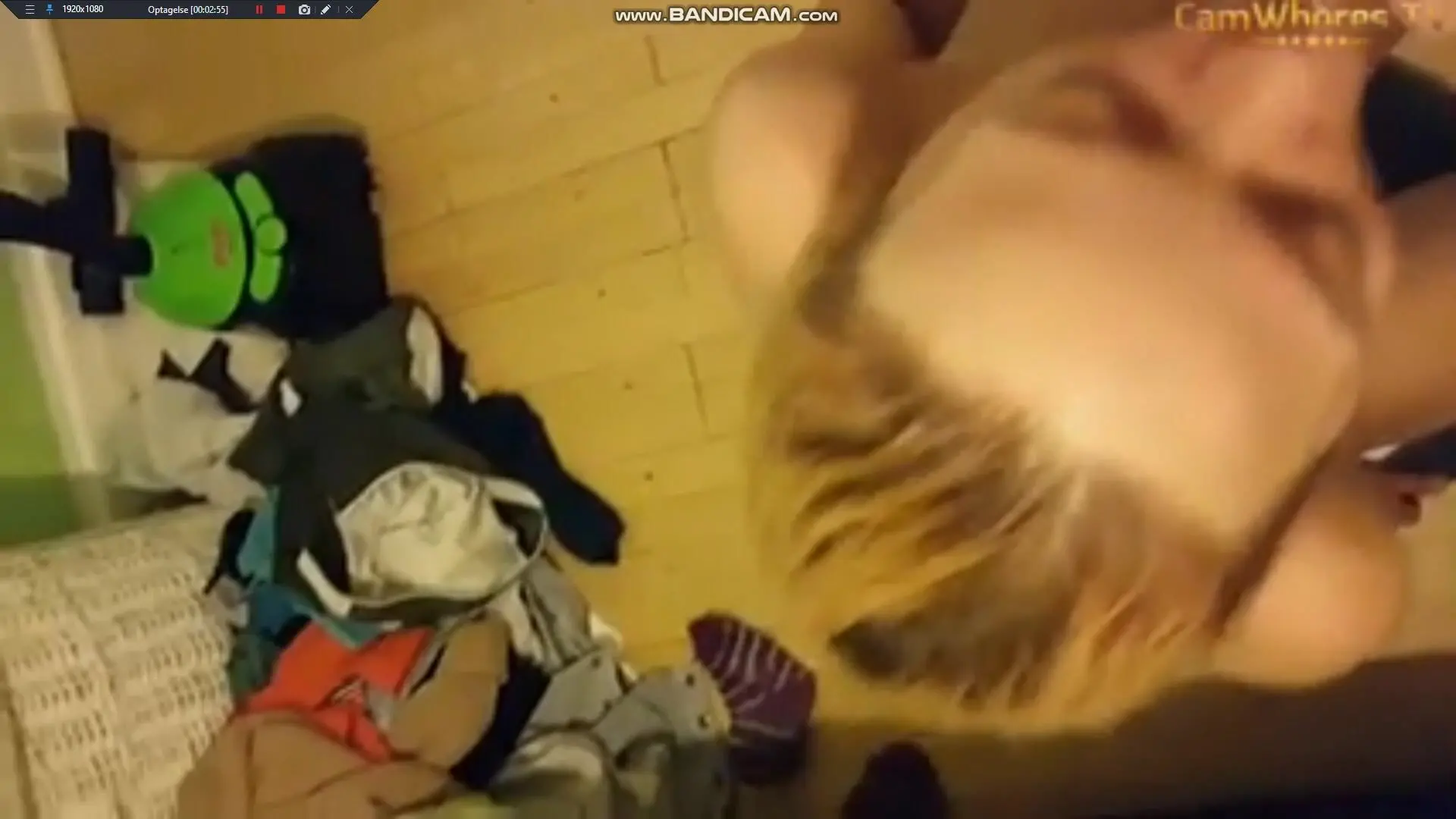 Danish Missy sucking and fucking