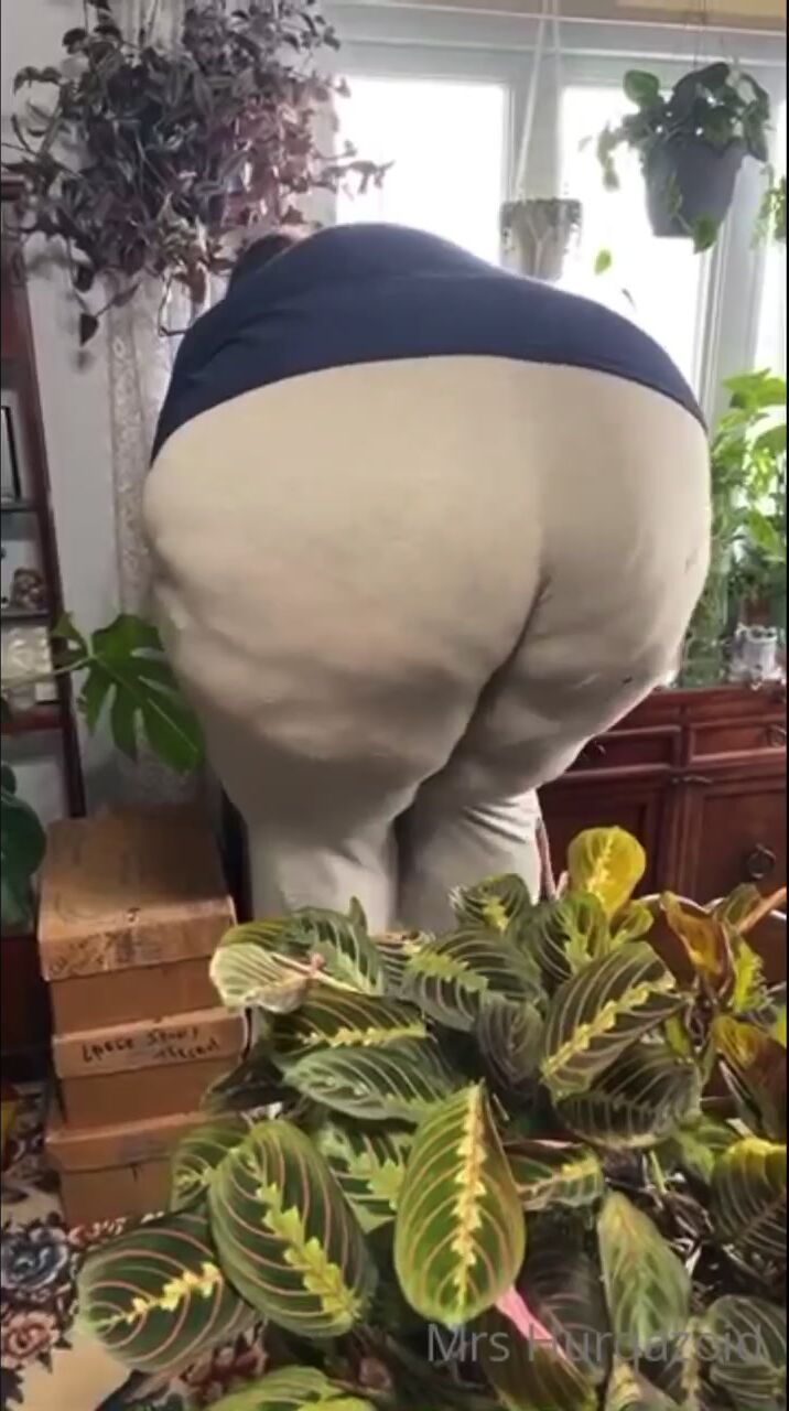 ssbbw panties