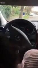 Crazy bj in car