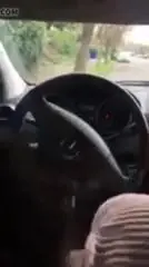 Crazy bj in car