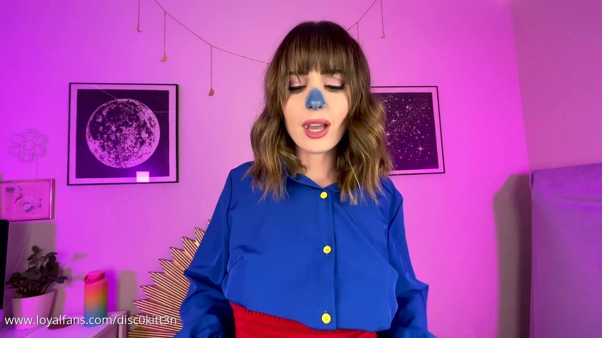 Disco Kitten - Blueberry 1